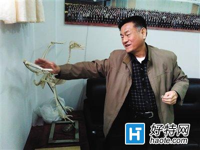 肄業中國最牛民科:大學揭秘成教授終身初中(2歲男初中生青島14圖片