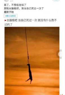 抖音长颈鹿上吊意思及含义介绍