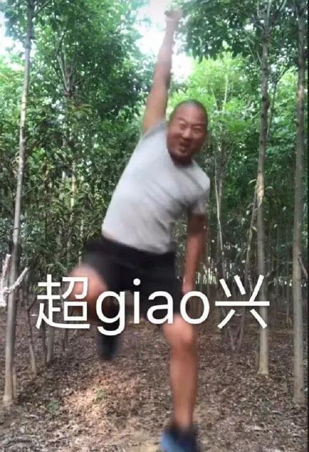 giao哥我太难了表情包