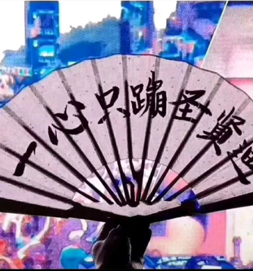 抖音"一心只蹦圣贤迪"图片大全