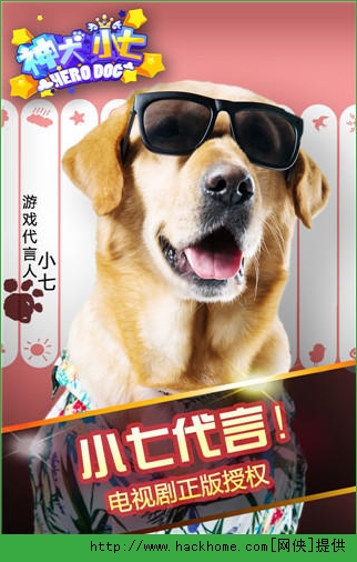 神犬小七游戏