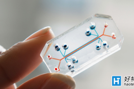 Organs-On-Chips⼯