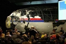 MH17⼯