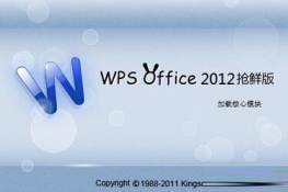 WPS 2012 רҵƽķ