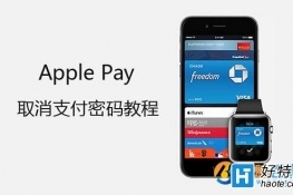 Apple Payȡ֧ͼĽ̳