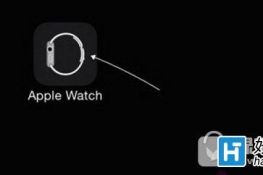 apple watchôֻ apple watchôֻ