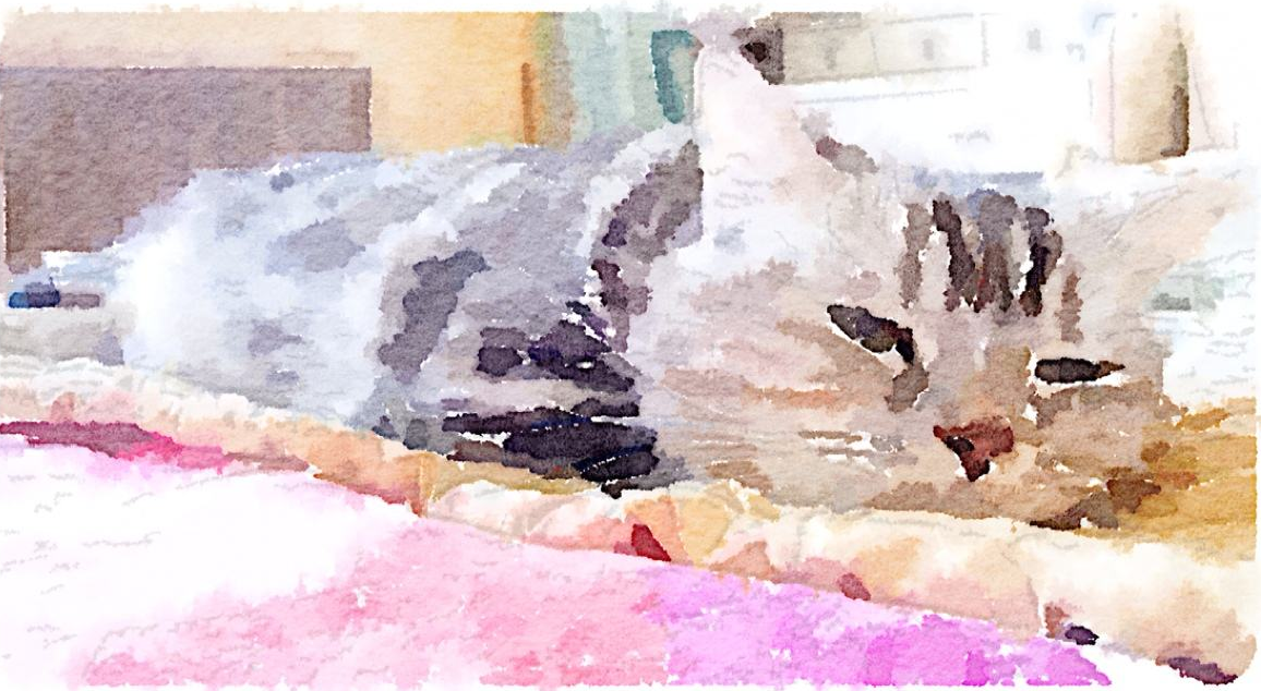 Waterlogue