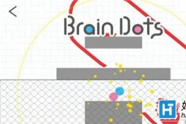 ԵBrain Dots204ͨع