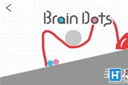 ԵBrain Dots244ͨع