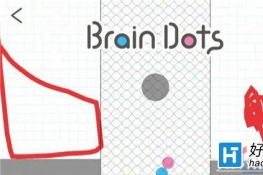 ԵBrain Dots238ͨع