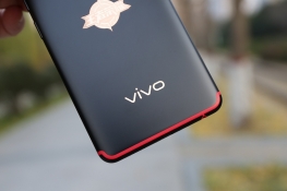 vivo»100%ȫ