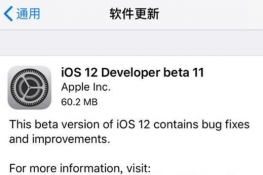 iOS12beta11