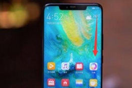 Ϊmate20proô¼