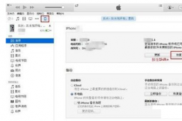 iOS12.1.3ʽô