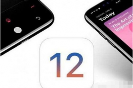 iOS12.1.3ʽֵø