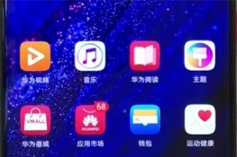 Ϊmate20proôϵˣ