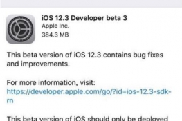 iOS 12.3 beta3òã