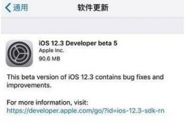 iOS12.3 Beta5òã