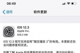 iOS12.3ʽֵø