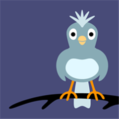 ڴС POCKET BIRDV1.1.0.0 WindowsPhone