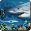 㽸ʯֽ̬ Shark Reef Live Wallpaper V1.00 ׿