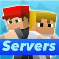 MineServer Verӹֻ  v2.0.3 ƻ