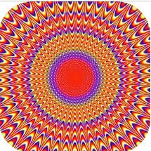 ĹѧþV1.0 ׿