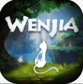 WENJIAV1.0 ׿