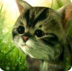 è׷Ѱ0.8.6