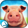 СģPig Simulator V1.0.1 ׿