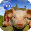 农场猪猪模拟1.01