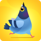 Pigeon Pop1.2.5