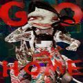 gohome֙C(j) V1.0 ׿