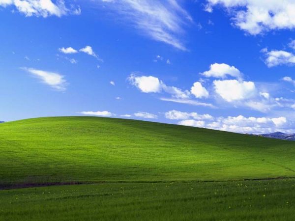 windowsxp 