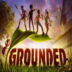 groundedֻ 