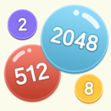 2048V1.0 ׿