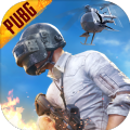 pubgʷV1.2.0 ׿