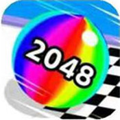 2048L V1.0 ׿