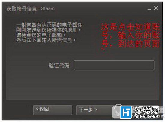 steamô steam˺