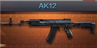 CFAK12ͼ AK12ô
