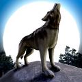 wolf.ioV1.6.0 ƻ