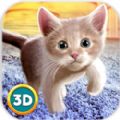 èģ3D Vival Simulator 3D  v1.0 ׿