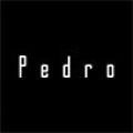 Pedro appV3.5.0 ׿