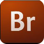 adobe bridge cs3V1.0.0 ׿