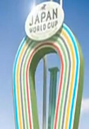 japan world cup V1.0.0 pc