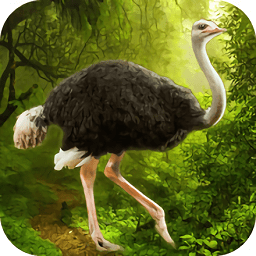 ģİV1.1.1 ׿