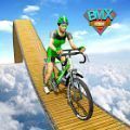 BMXгؼ2021 V1.0 ׿