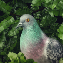 Ӱ(Pigeon A Love Story) V0.5 ׿