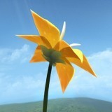 flower V1.5 IOS