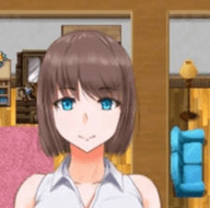 ̫V1.0 